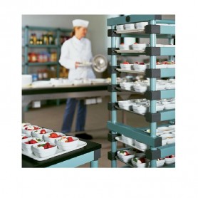 Carrelli in plastica REA